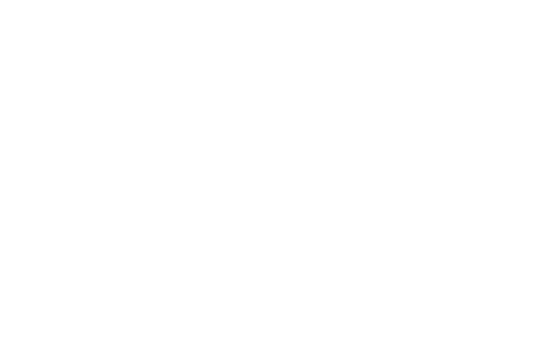 Echo Business